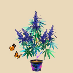 NFTokin #3681