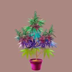 NFTokin #8504