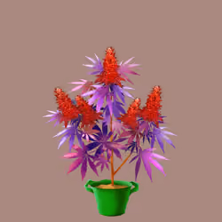 NFTokin #550