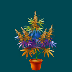 NFTokin #4834
