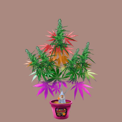 NFTokin #12642