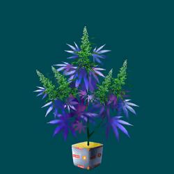 NFTokin #11418