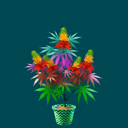 NFTokin #11493