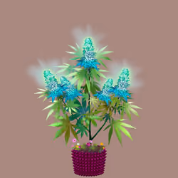NFTokin #7608