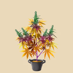 NFTokin #1676