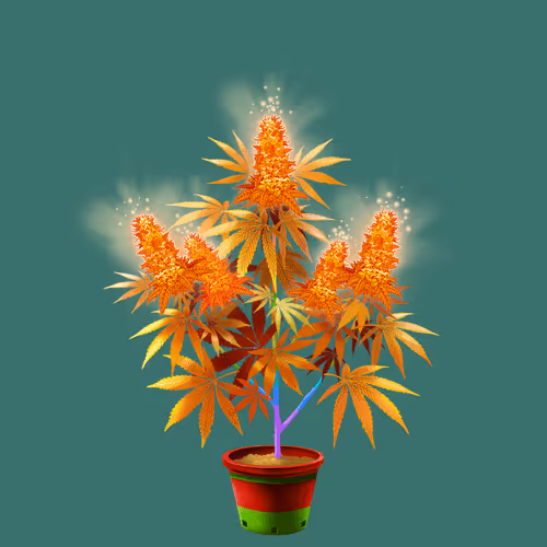 NFTokin #6274