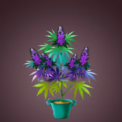 NFTokin #12614