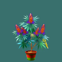 NFTokin #7964