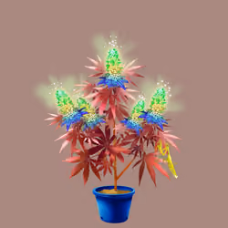 NFTokin #5776