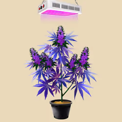 NFTokin #9571