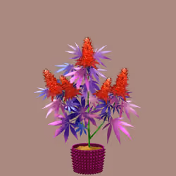 NFTokin #8091