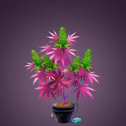 NFTokin #5665