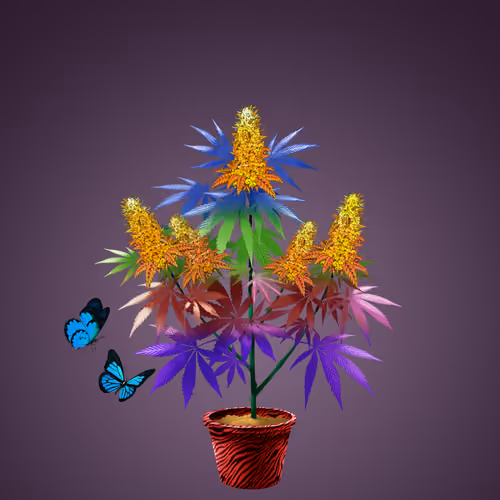 NFTokin #4806