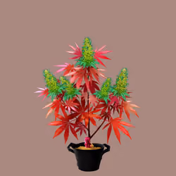 NFTokin #5058