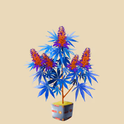 NFTokin #6797