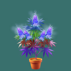 NFTokin #4622