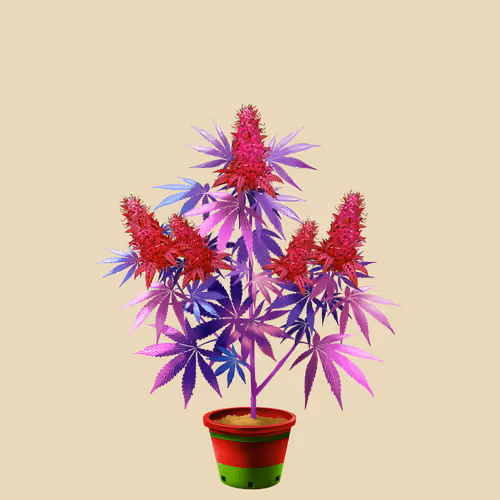 NFTokin #6770