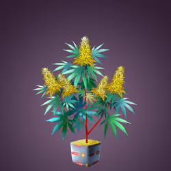 NFTokin #7730
