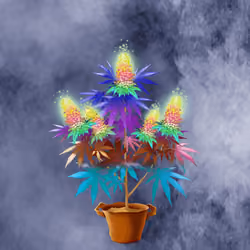 NFTokin #5107