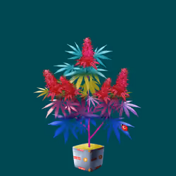 NFTokin #9627
