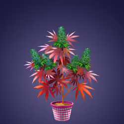 NFTokin #9765