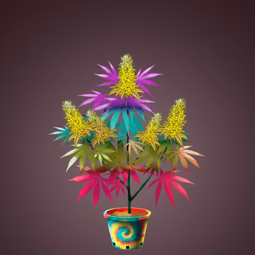 NFTokin #11706