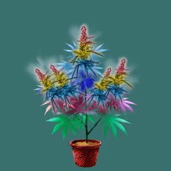 NFTokin #398