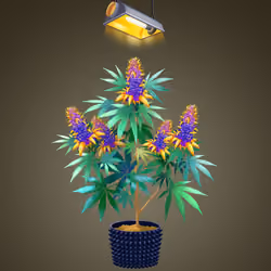 NFTokin #5216