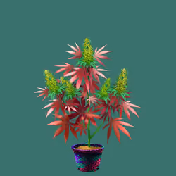 NFTokin #7928