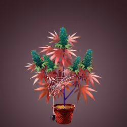 NFTokin #4840