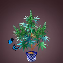 NFTokin #11547