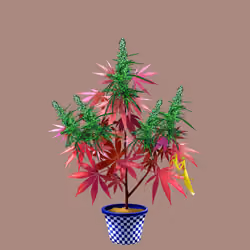 NFTokin #2615