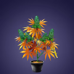 NFTokin #10970