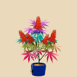NFTokin #1008