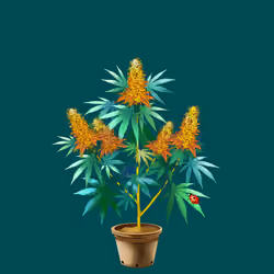 NFTokin #11771