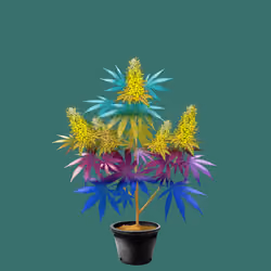 NFTokin #6096