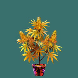 NFTokin #2090