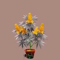 NFTokin #12616