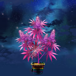 NFTokin #12068