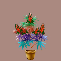 NFTokin #710