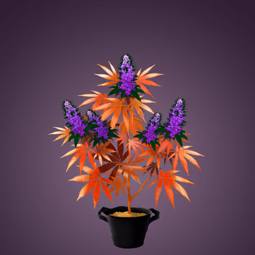 NFTokin #5599
