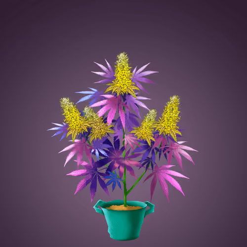 NFTokin #5335