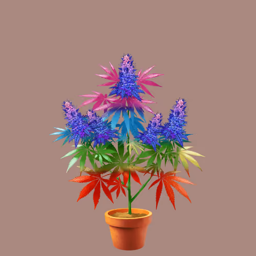 NFTokin #209