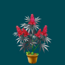 NFTokin #5214