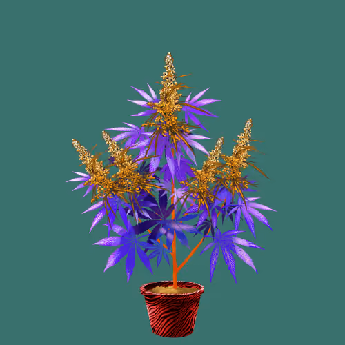 NFTokin #11439