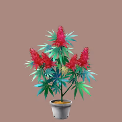 NFTokin #9671
