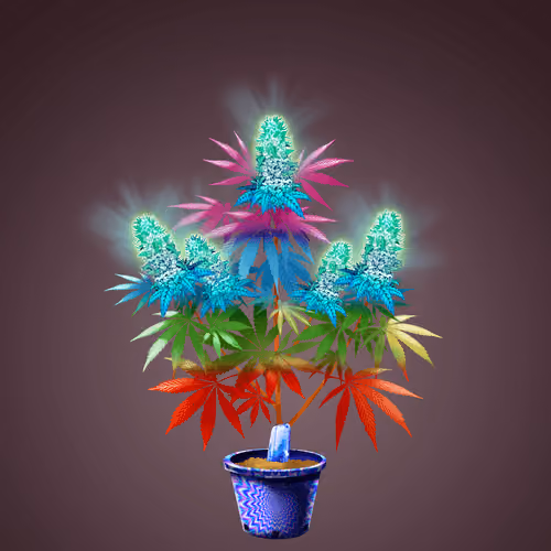 NFTokin #6344