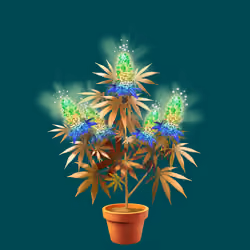 NFTokin #12222