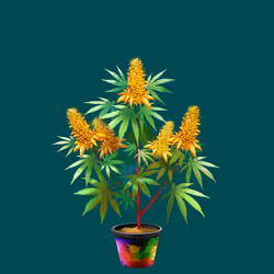 NFTokin #7810
