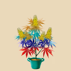 NFTokin #9204